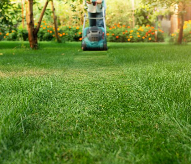 a beautiful garden with flowers and a well-maintained lawn surrounded by trees featuring a cozy seating area ideal for enjoying sunny days and hosting gatherings with family and friends in a tranquil outdoor space during the seven seasons