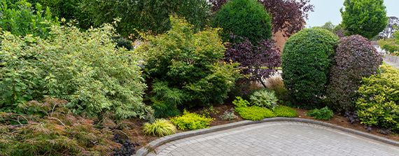 wooden railing and deck with potted plants surrounded by green shrubbery creating a cozy outdoor space for relaxation and gatherings