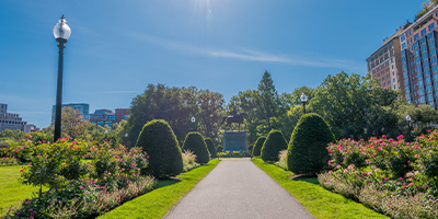 beautiful garden landscape with manicured hedges and tropical plants near a modern house surrounded by greenery and nature eight unique features of serenity and balance
