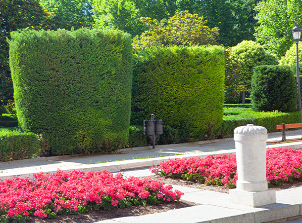 SafeContractor logo featuring a blue flower design with the text approved indicating certification for safety standards and compliance in contracting services